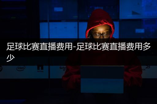 足球比赛直播费用-足球比赛直播费用多少